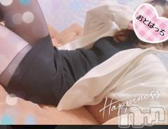 三条デリヘルコスプレ専門店　BLUE MOON(ブルームーン) ふわふわ系美少女＃おとは(23)の3月15日写メブログ「今日はお昼からいるよ～✨」