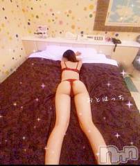 三条デリヘルコスプレ専門店　BLUE MOON(ブルームーン) ふわふわ系美少女＃おとは(23)の9月10日写メブログ「🐢来週のおとはっち🐶」