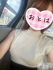 三条デリヘルコスプレ専門店　BLUE MOON(ブルームーン) ふわふわ系美少女＃おとは(23)の9月30日写メブログ「昨日は160分行ってました🚗³₃」