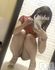 三条デリヘルコスプレ専門店　BLUE MOON(ブルームーン) ふわふわ系美少女＃おとは(23)の11月11日写メブログ「これからすぐご案内可能です🙆‍♀️」