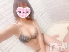 三条デリヘルコスプレ専門店　BLUE MOON(ブルームーン) ふわふわ系美少女＃おとは(23)の11月24日写メブログ「ハナキン🌸」