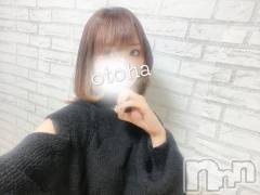 三条デリヘルコスプレ専門店　BLUE MOON(ブルームーン) ふわふわ系美少女＃おとは(23)の2月27日写メブログ「中毒性ありすぎてやばいです」