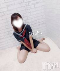 三条デリヘルコスプレ専門店　BLUE MOON(ブルームーン) ふわふわ系美少女＃おとは(23)の3月18日写メブログ「はっちさん緊急出勤！！」