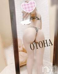 三条デリヘルコスプレ専門店　BLUE MOON(ブルームーン) ふわふわ系美少女＃おとは(23)の4月11日写メブログ「すぐご案内できます♥️」