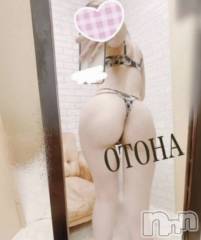 三条デリヘルコスプレ専門店　BLUE MOON(ブルームーン) ふわふわ系美少女＃おとは(23)の10月1日写メブログ「本日ブログ割♡」