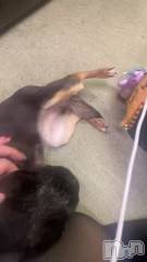 三条デリヘルコスプレ専門店　BLUE MOON(ブルームーン) ふわふわ系美少女＃おとは(23)の1月21日動画「きづいたらここに」