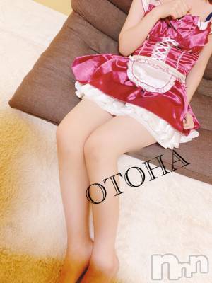 三条デリヘル コスプレ専門店　BLUE MOON(ブルームーン) ふわふわ系美少女＃おとは(23)の3月17日写メブログ「3月16日御礼♡」