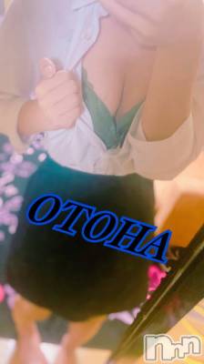 三条デリヘル コスプレ専門店　BLUE MOON(ブルームーン) ふわふわ系美少女＃おとは(23)の8月21日写メブログ「今すぐ行けますよ🎵」