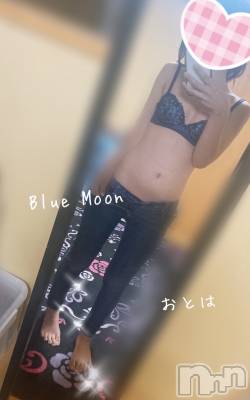 三条デリヘル コスプレ専門店　BLUE MOON(ブルームーン) ふわふわ系美少女＃おとは(23)の5月20日写メブログ「いちゃいちゃしませんか？」