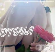 三条デリヘル コスプレ専門店　BLUE MOON(ブルームーン) ふわふわ系美少女＃おとは(23)の5月28日写メブログ「ラスト枠お伺いできます❤️」