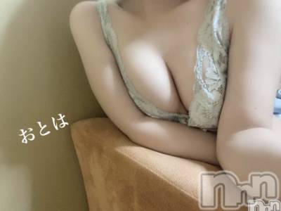 三条デリヘル コスプレ専門店　BLUE MOON(ブルームーン) ふわふわ系美少女＃おとは(23)の11月6日写メブログ「今日はブログ割‼️」