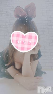 三条デリヘル コスプレ専門店　BLUE MOON(ブルームーン) ふわふわ系美少女＃おとは(23)の12月24日写メブログ「すぐにお伺いできます❤️」