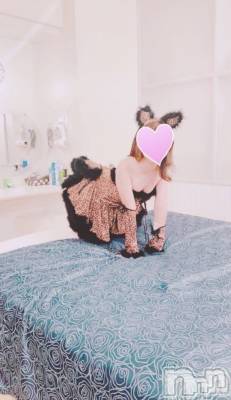 三条デリヘル コスプレ専門店　BLUE MOON(ブルームーン) ふわふわ系美少女＃おとは(23)の2月1日写メブログ「ご自宅のお兄様有難うございます❤️」