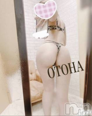 三条デリヘル コスプレ専門店　BLUE MOON(ブルームーン) ふわふわ系美少女＃おとは(23)の9月19日写メブログ「イチャイチャしよ🥺」