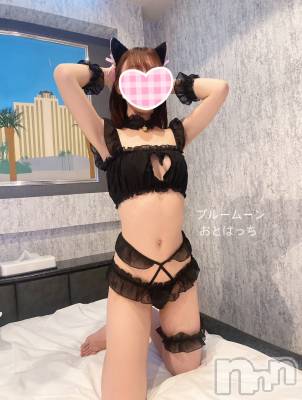 三条デリヘル コスプレ専門店　BLUE MOON(ブルームーン) ふわふわ系美少女＃おとは(23)の12月24日写メブログ「明日は12時から🐶💖」