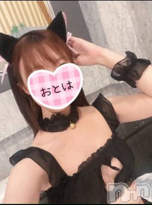 三条デリヘル コスプレ専門店　BLUE MOON(ブルームーン) ふわふわ系美少女＃おとは(23)の1月15日写メブログ「もう日本酒は飲みたくない🤢」
