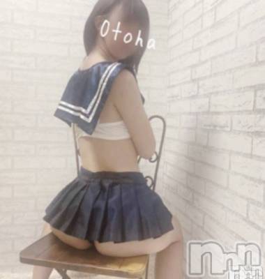 三条デリヘル コスプレ専門店　BLUE MOON(ブルームーン) ふわふわ系美少女＃おとは(23)の2月28日写メブログ「はなきん✨」
