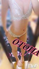 三条デリヘル コスプレ専門店　BLUE MOON(ブルームーン) ふわふわ系美少女＃おとは(23)の10月5日写メブログ「お久しぶりです❤️」