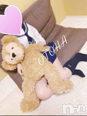 三条デリヘル コスプレ専門店　BLUE MOON(ブルームーン) ふわふわ系美少女＃おとは(23)の11月12日写メブログ「出勤しました❤️」