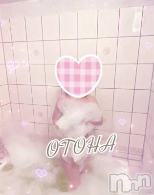 三条デリヘル コスプレ専門店　BLUE MOON(ブルームーン) ふわふわ系美少女＃おとは(23)の10月29日写メブログ「空きました❤️」