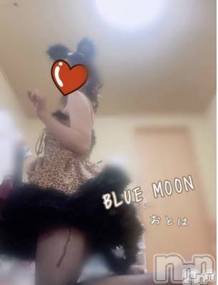 三条デリヘル コスプレ専門店　BLUE MOON(ブルームーン) ふわふわ系美少女＃おとは(23)の11月13日写メブログ「さっそく」