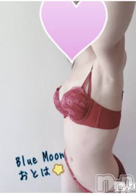 三条デリヘル コスプレ専門店　BLUE MOON(ブルームーン) ふわふわ系美少女＃おとは(23)の11月21日写メブログ「有難うございます💓」