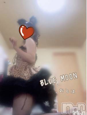 三条デリヘル コスプレ専門店　BLUE MOON(ブルームーン) ふわふわ系美少女＃おとは(23)の1月24日写メブログ「すぐお伺いできます♥️」