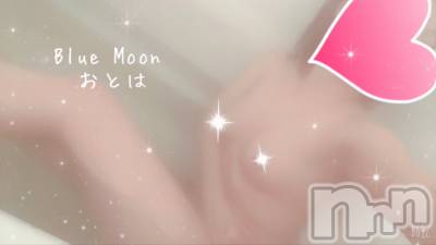 三条デリヘル コスプレ専門店　BLUE MOON(ブルームーン) ふわふわ系美少女＃おとは(23)の1月31日写メブログ「お知らせ🌙.*·̩͙」
