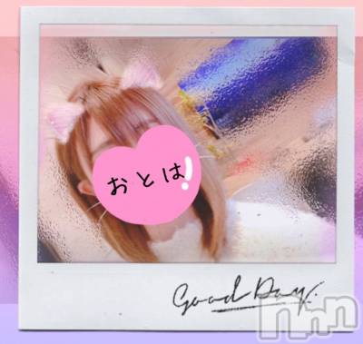 三条デリヘル コスプレ専門店　BLUE MOON(ブルームーン) ふわふわ系美少女＃おとは(23)の2月20日写メブログ「お知らせと出勤予定」