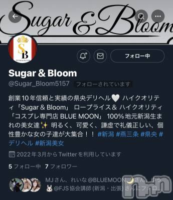 三条デリヘル コスプレ専門店　BLUE MOON(ブルームーン) ふわふわ系美少女＃おとは(23)の3月10日写メブログ「お店がついにTwitter始ました」