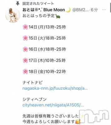 三条デリヘル コスプレ専門店　BLUE MOON(ブルームーン) ふわふわ系美少女＃おとは(23)の3月14日写メブログ「今週のおとはっち🐢」