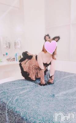 三条デリヘル コスプレ専門店　BLUE MOON(ブルームーン) ふわふわ系美少女＃おとは(23)の3月15日写メブログ「冷蔵庫のカップケーキ」