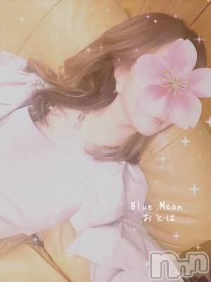 三条デリヘル コスプレ専門店　BLUE MOON(ブルームーン) ふわふわ系美少女＃おとは(23)の3月18日写メブログ「出勤時間24時までになました🙏と昨日の御礼です♥️」
