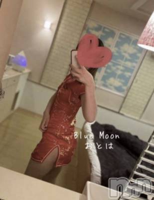 三条デリヘル コスプレ専門店　BLUE MOON(ブルームーン) ふわふわ系美少女＃おとは(23)の4月20日写メブログ「いつもありがとうございます🌷」