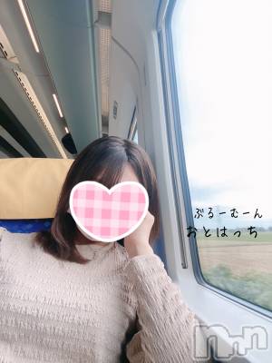 三条デリヘル コスプレ専門店　BLUE MOON(ブルームーン) ふわふわ系美少女＃おとは(23)の10月9日写メブログ「遂に旅に出ました。」