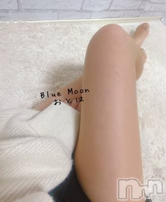 三条デリヘル コスプレ専門店　BLUE MOON(ブルームーン) ふわふわ系美少女＃おとは(23)の10月16日写メブログ「今日はパンスト」