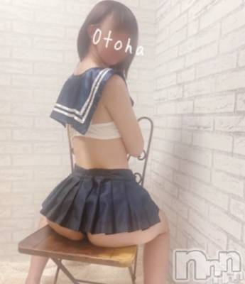 三条デリヘル コスプレ専門店　BLUE MOON(ブルームーン) ふわふわ系美少女＃おとは(23)の11月1日写メブログ「空きました！すぐご案内可能です︎💕︎」
