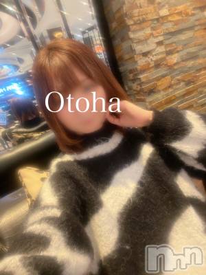 三条デリヘル コスプレ専門店　BLUE MOON(ブルームーン) ふわふわ系美少女＃おとは(23)の12月30日写メブログ「今年もお世話になりました🐻」