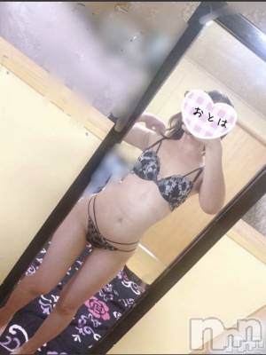 三条デリヘル コスプレ専門店　BLUE MOON(ブルームーン) ふわふわ系美少女＃おとは(23)の3月19日写メブログ「はっちの生態について」