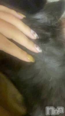 三条デリヘル コスプレ専門店　BLUE MOON(ブルームーン) ふわふわ系美少女＃おとは(23)の10月18日動画「内勤スタッフとイチャイチャ(？)」