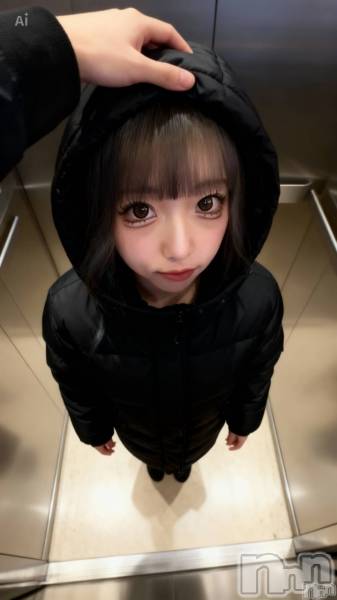 ��ë����Х��顦�����CLUB��Paladin(����֡��ѥ�ǥ���) �� 2026ǯ2��12���̥�֥�����2/12🌹�жо���🌹��