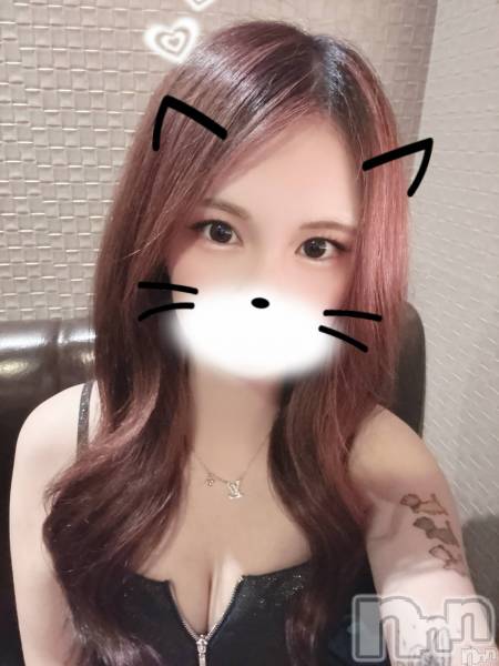 ��ë����Х��顦�����CLUB��Paladin(����֡��ѥ�ǥ���) �� 2026ǯ2��26���̥�֥�����2/26🌹�жо���🌹��