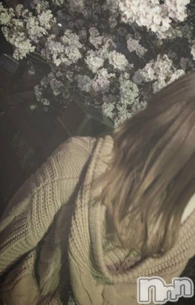 ��ë����Х��顦�����CLUB��Paladin(����֡��ѥ�ǥ���) �� 2021ǯ2��23���̥�֥����ֺ��������ͥ��㥹��¿���ж�ͽ���*���