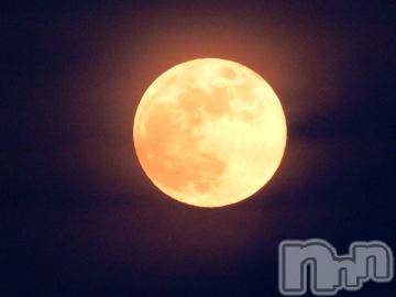 新潟デリヘル五十路マダム新潟店(カサブランカグループ)(イソジマダムニイガタテン) 今井ゆきえ(53)の8月4日写メブログ「夏空を照らす」