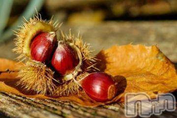 新潟デリヘル五十路マダム新潟店(カサブランカグループ)(イソジマダムニイガタテン) 今井ゆきえ(53)の10月13日写メブログ「こんばんは★゛」