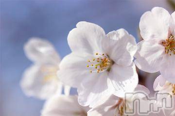 新潟デリヘル五十路マダム新潟店(カサブランカグループ)(イソジマダムニイガタテン) 今井ゆきえ(53)の3月15日写メブログ「出勤します(*´∀｀)ノ」