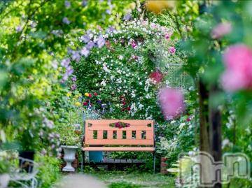 新潟デリヘル五十路マダム新潟店(カサブランカグループ)(イソジマダムニイガタテン) 今井ゆきえ(53)の4月13日写メブログ「出勤します(*´∀｀)ノ」