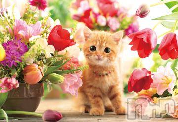 新潟デリヘル五十路マダム新潟店(カサブランカグループ)(イソジマダムニイガタテン) 今井ゆきえ(53)の4月30日写メブログ「こんにちは(*´∀｀)ノ」