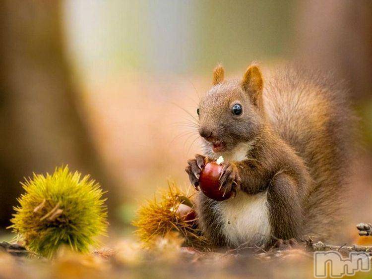 新潟デリヘル五十路マダム新潟店(カサブランカグループ)(イソジマダムニイガタテン) 今井ゆきえ(53)の11月4日写メブログ「少しづつ」