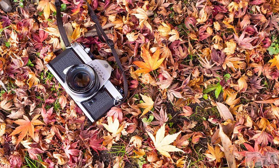 新潟デリヘル五十路マダム新潟店(カサブランカグループ)(イソジマダムニイガタテン) 今井ゆきえ(53)の11月9日写メブログ「こんばんわ(*´∀｀)ノ★」